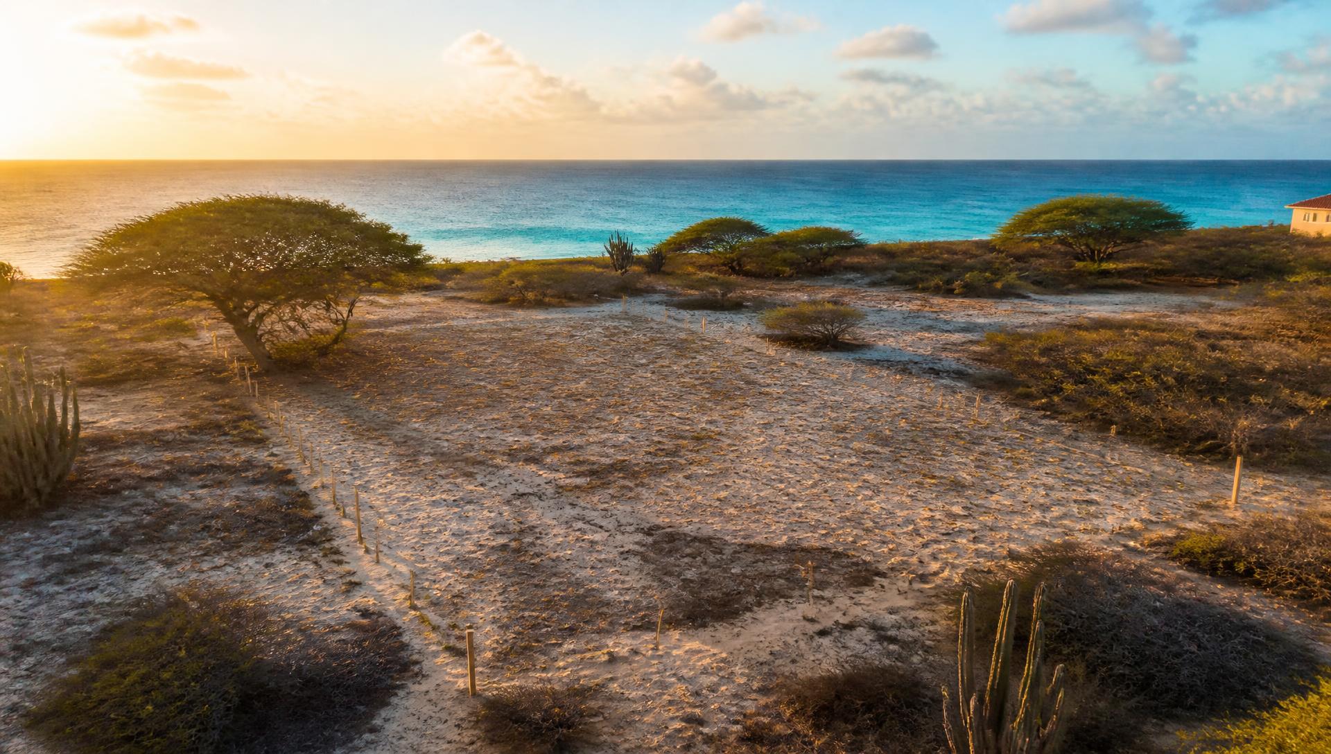 Coastal building lot in Aruba overlooking the Caribbean Sea